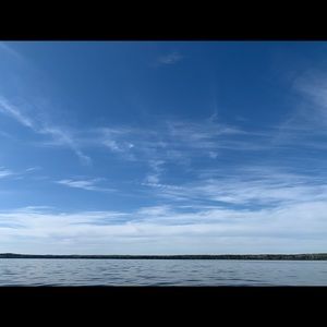 Meet your Posher, Bailey